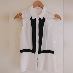 Intermix Sheer Colorblock Button Down Blouse